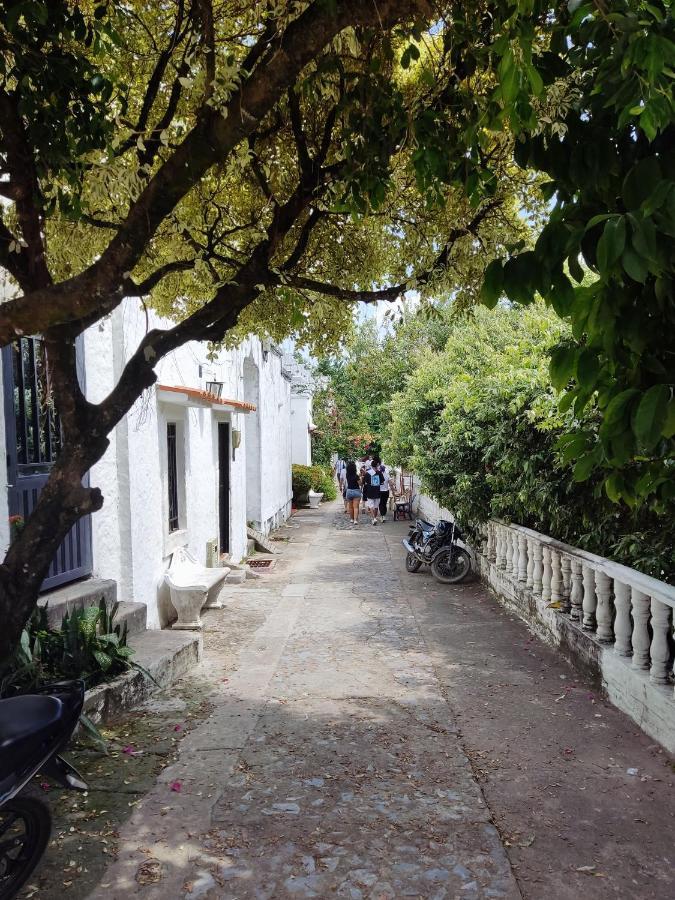 Cabana 52 En La Aldea Doradal Santorini Colombiano Экстерьер фото